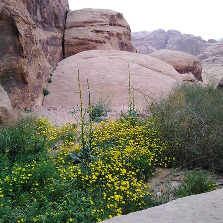 Welcome To Wadi Rum Camp Ξενοδοχείο Εξωτερικό φωτογραφία